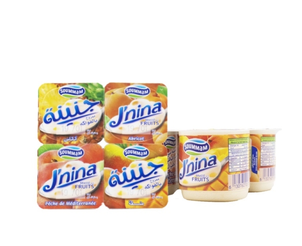 Yaourt brassé J'nina aux fruits - mélange - 125g